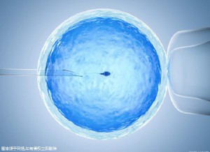 关于木棉医疗中心